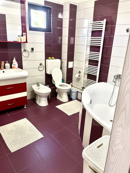 Comuna Berceni, Ilfov,